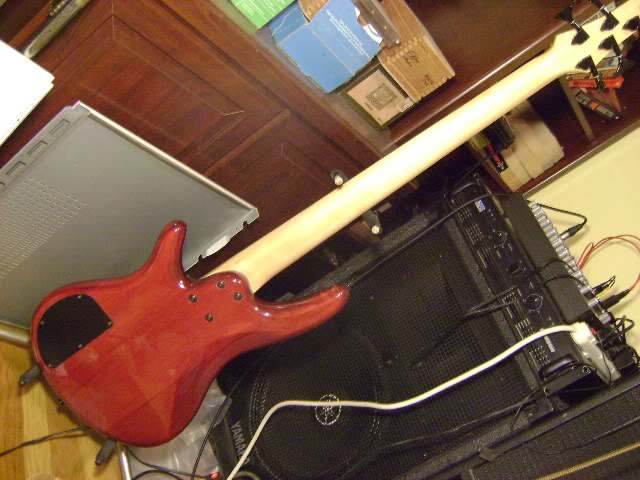 DSC01560.jpg