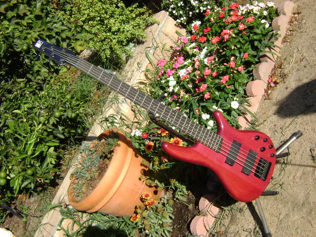 DSC01567.jpg