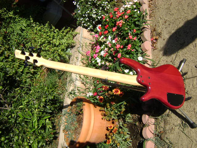 DSC01569.jpg