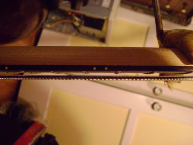 DSC01576.jpg
