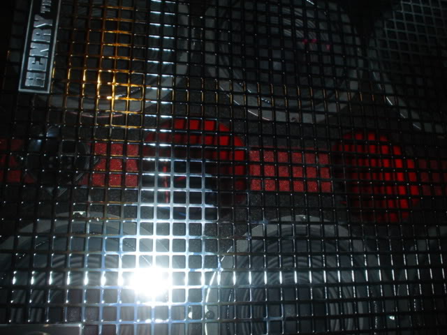 DSC01629.jpg