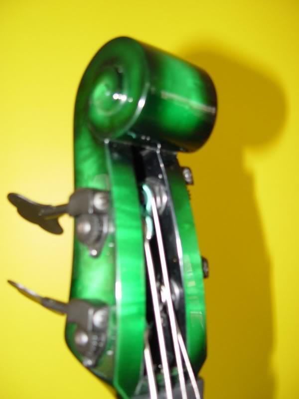DSC01708.jpg