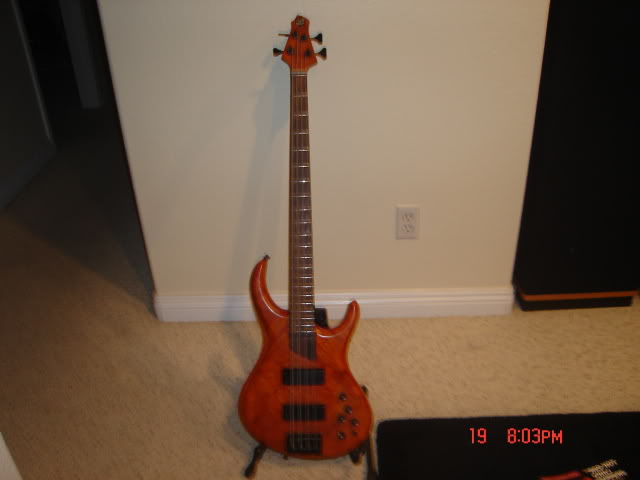 DSC01739.jpg