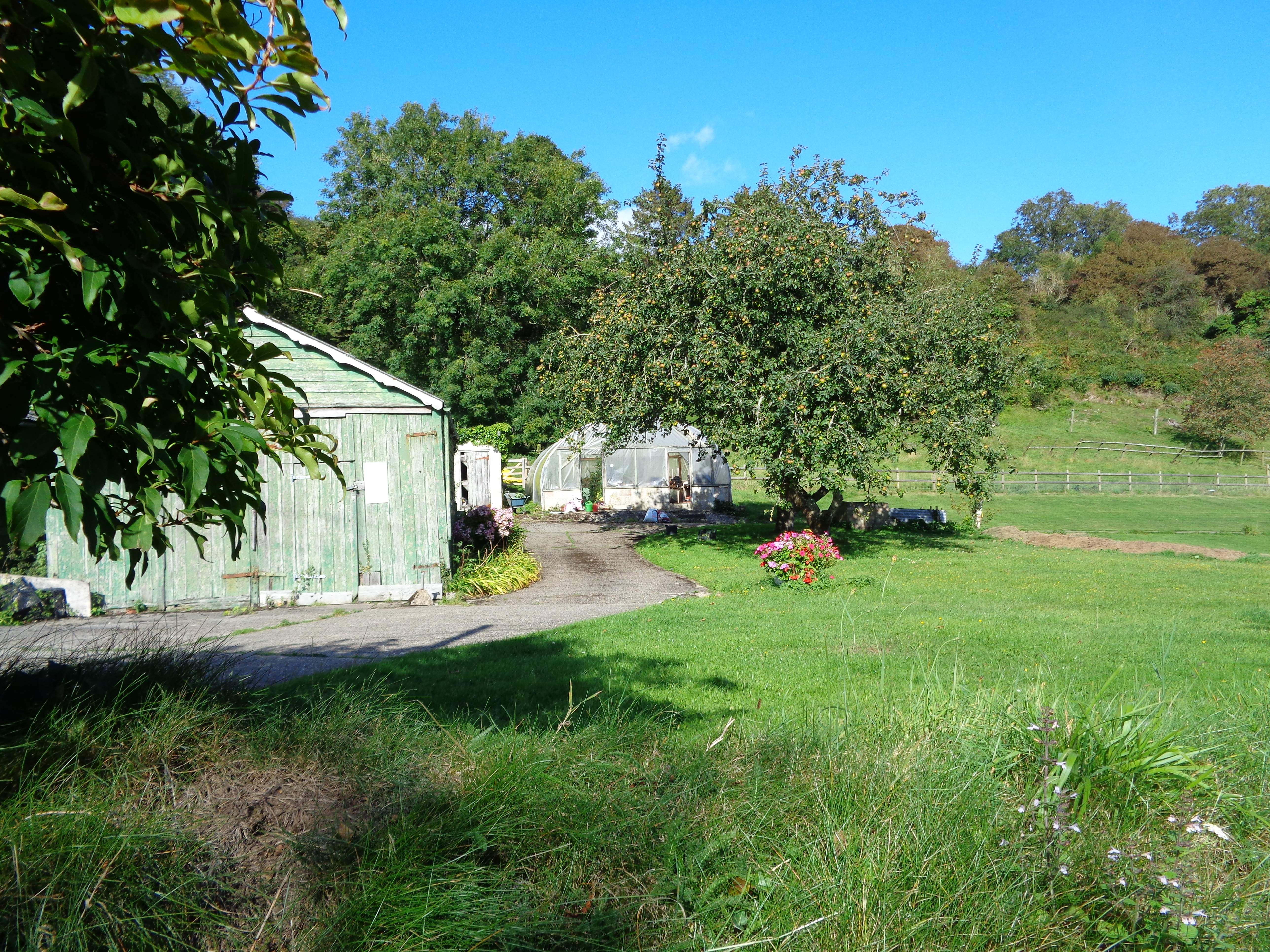 DSC01817.JPG