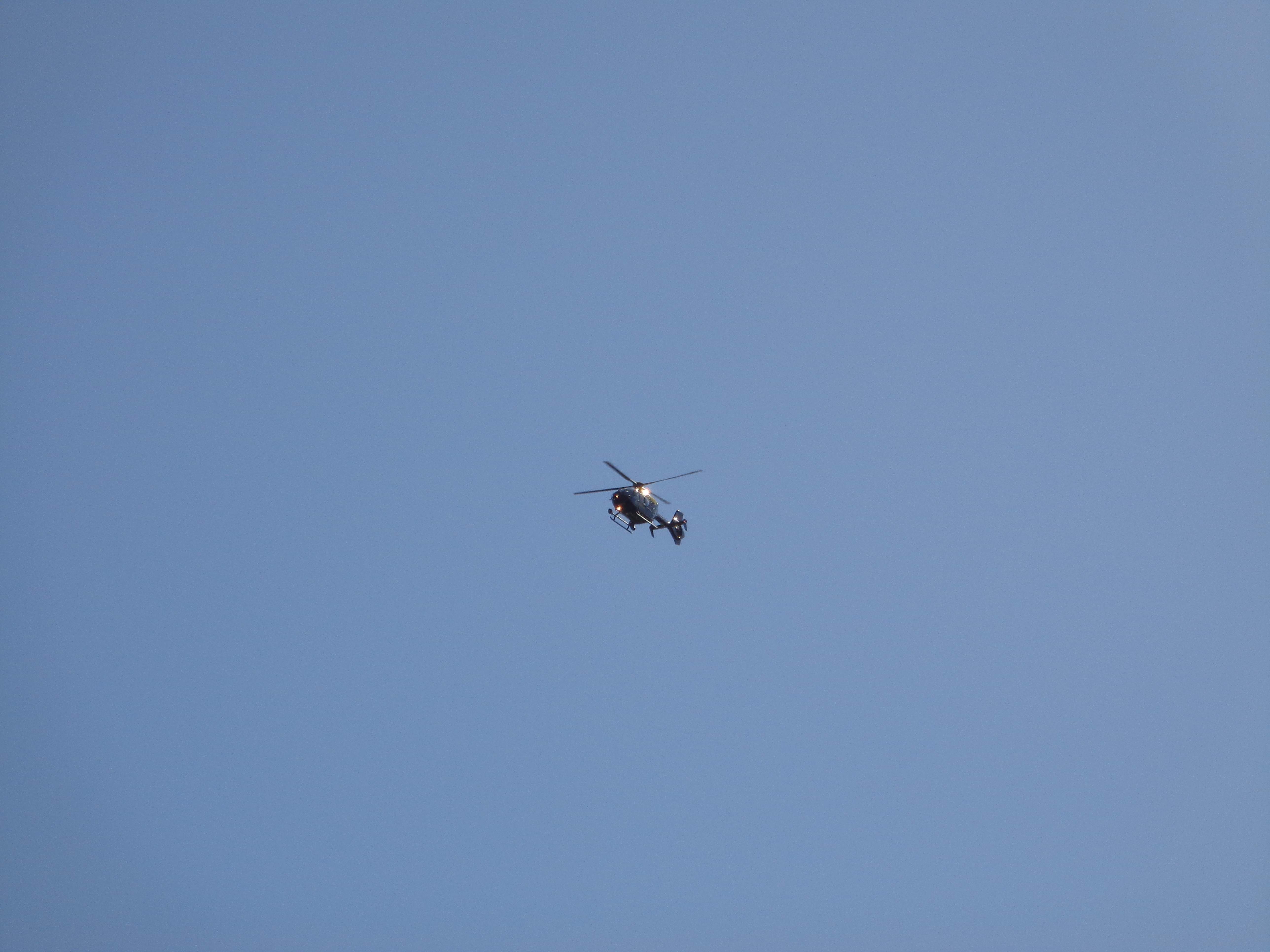 DSC01913.JPG