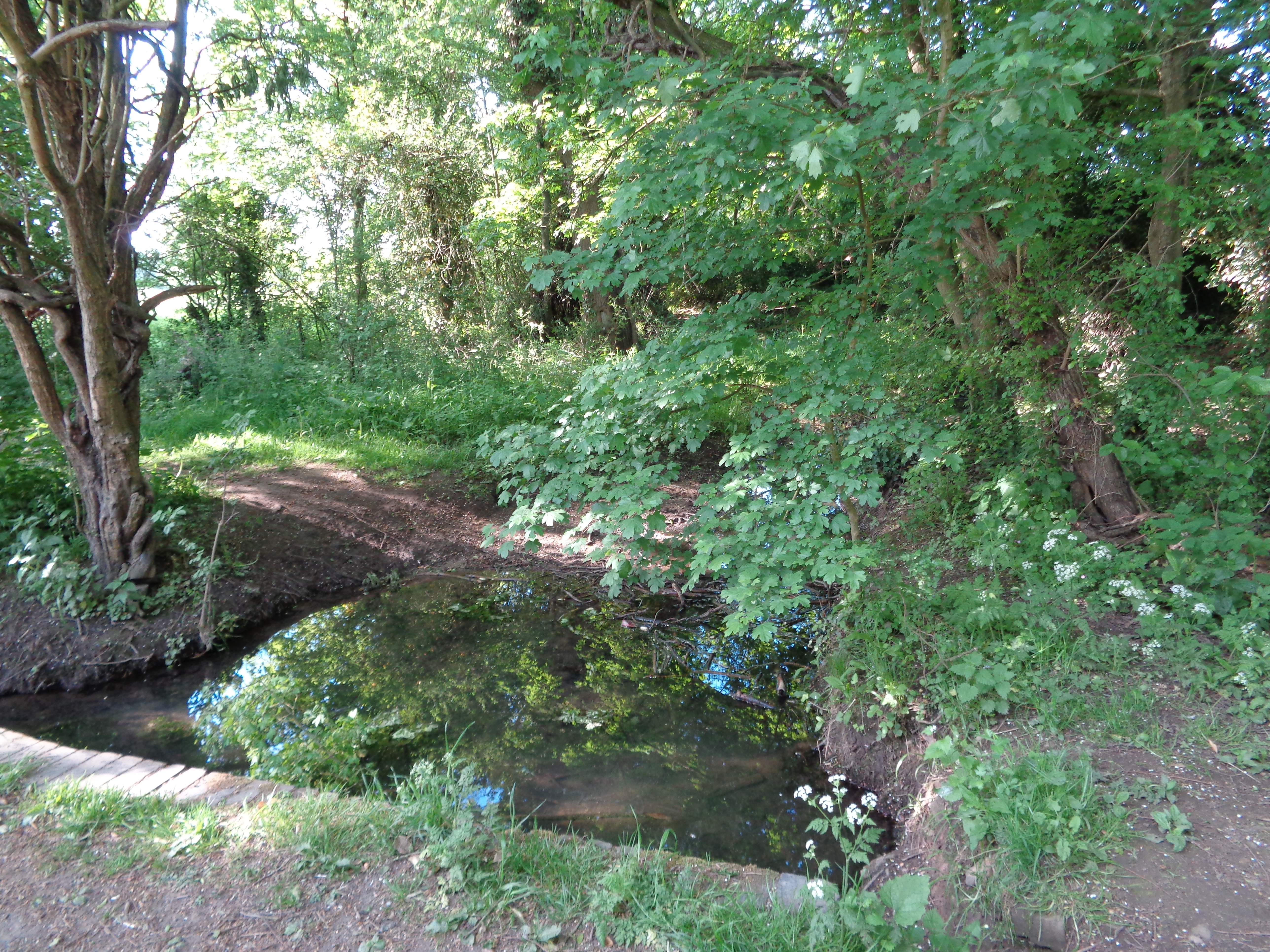 DSC01934.JPG