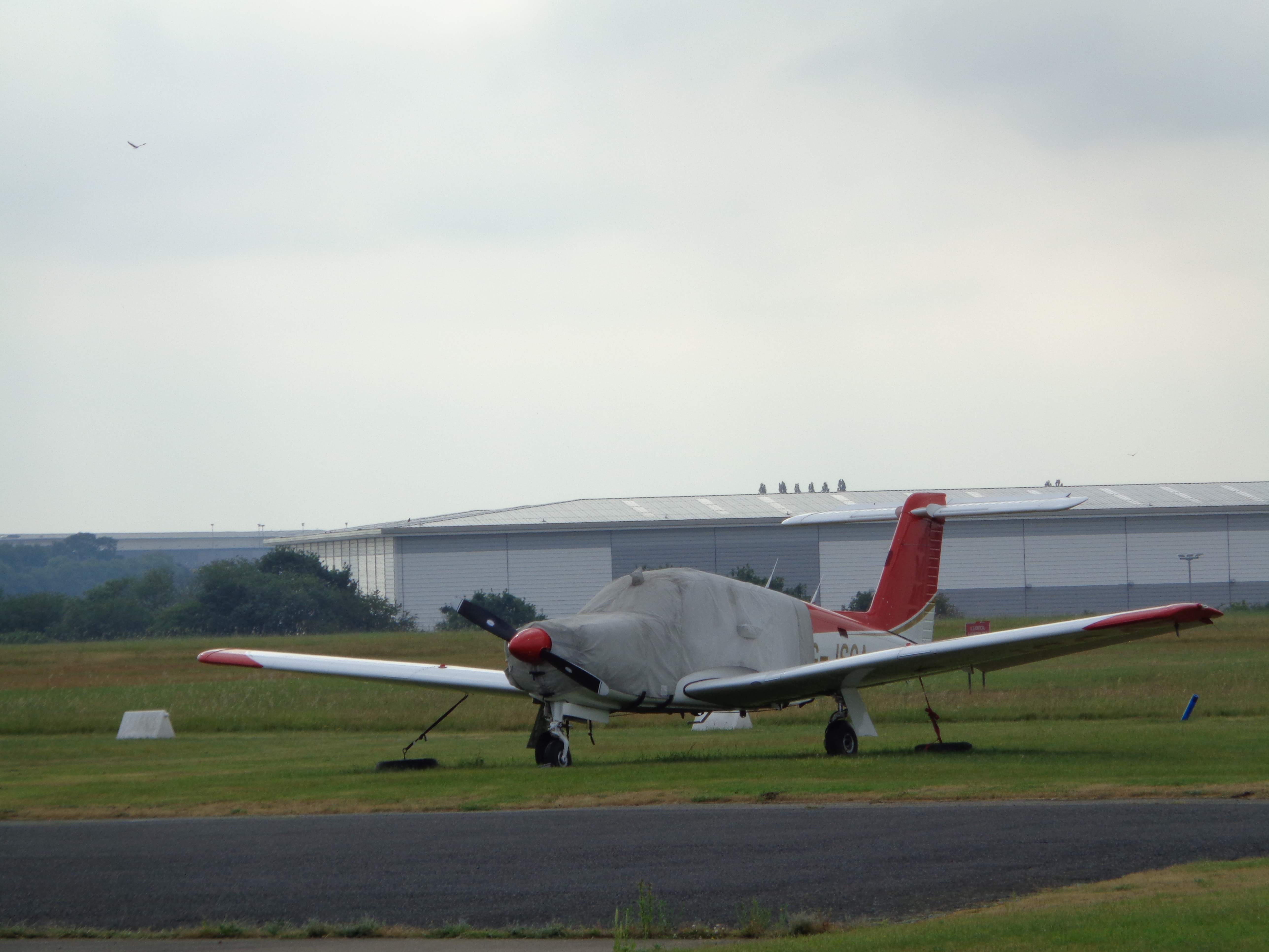 DSC02049.JPG