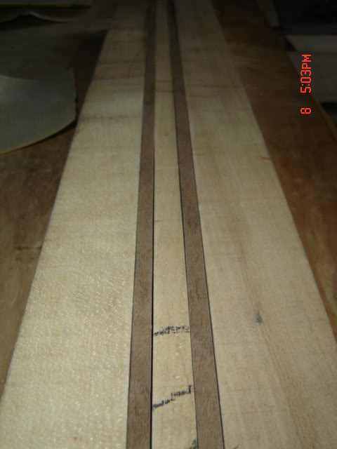 DSC02169.jpg
