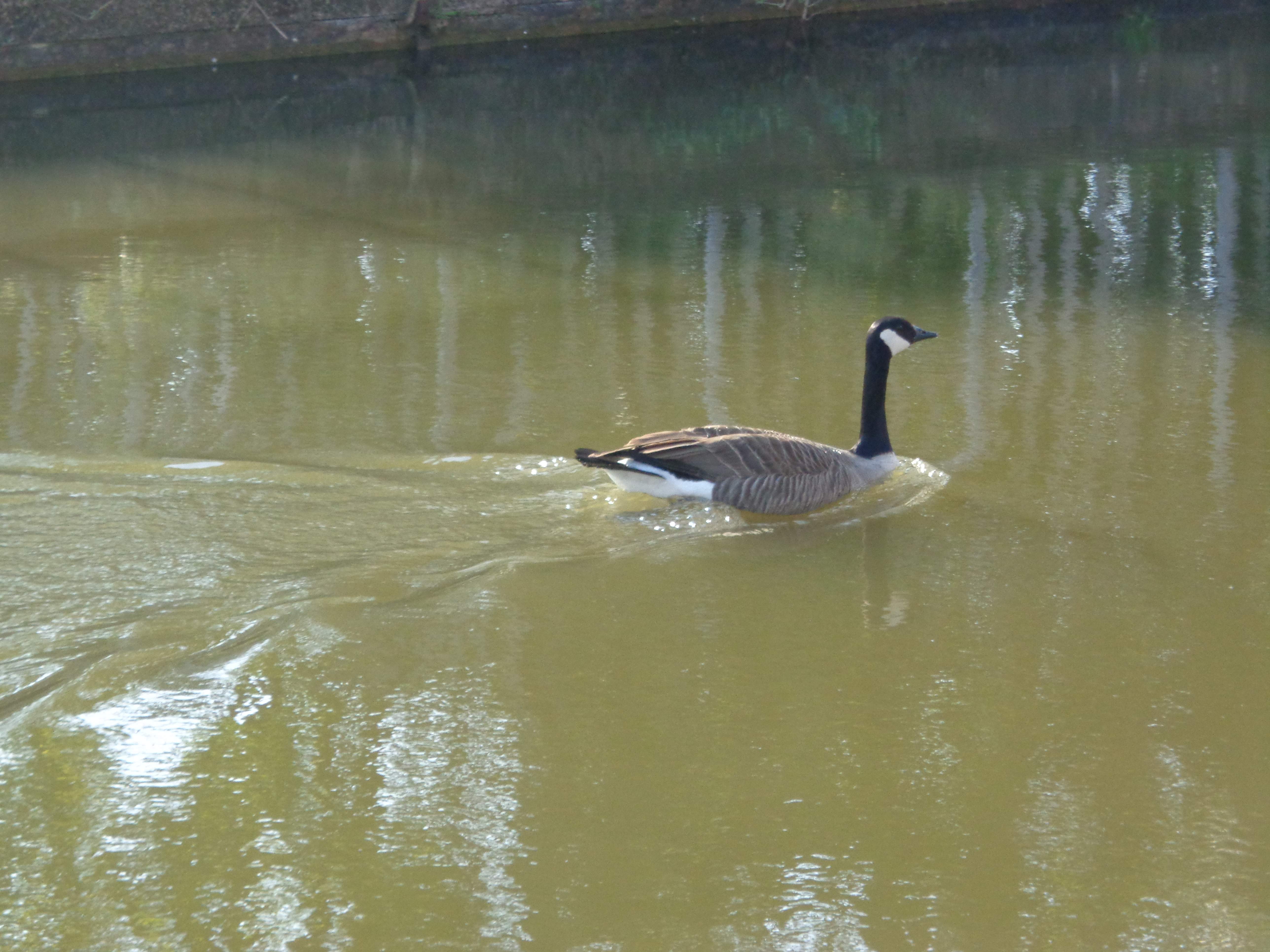 DSC02256.JPG