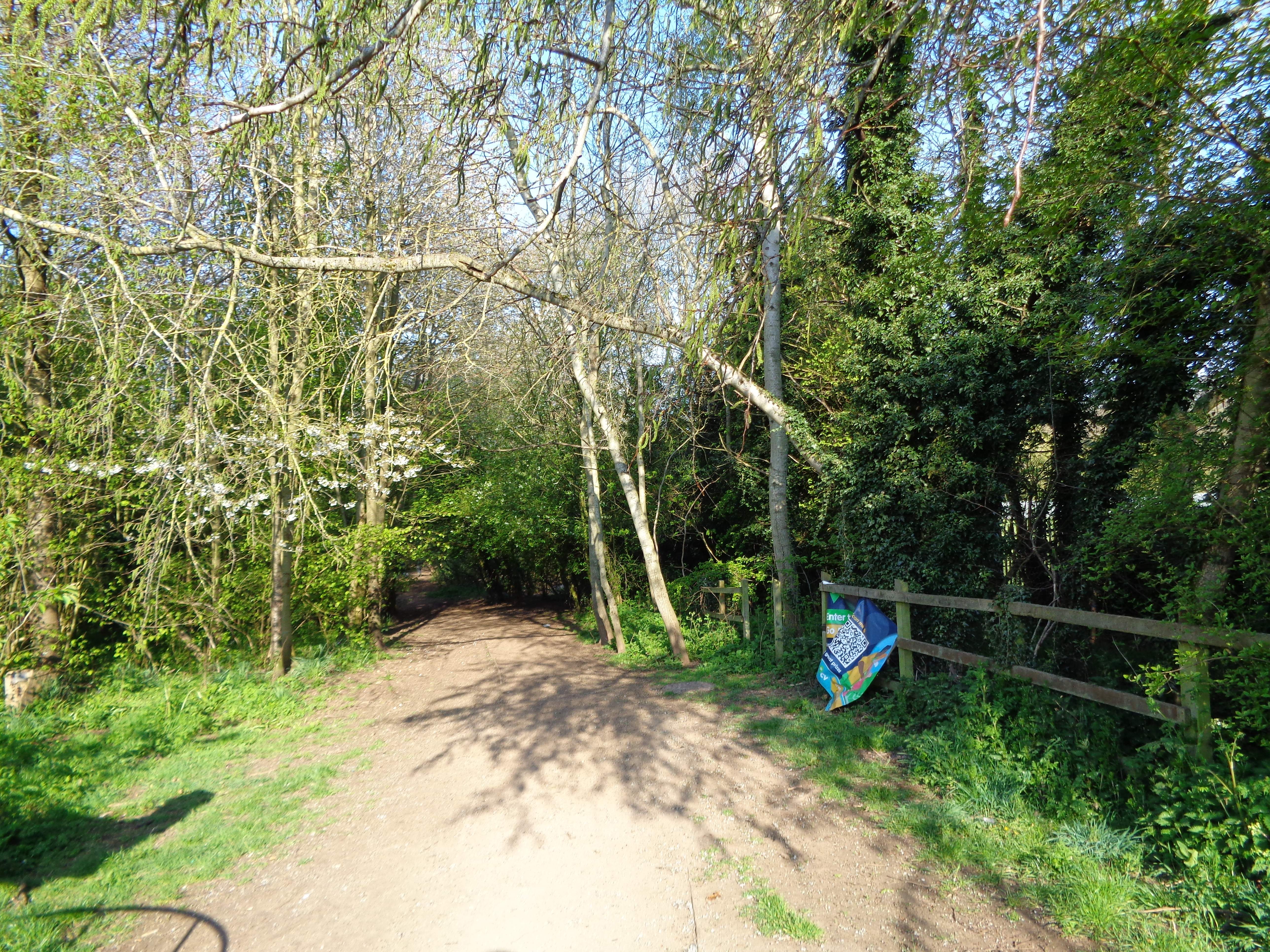 DSC02282.JPG