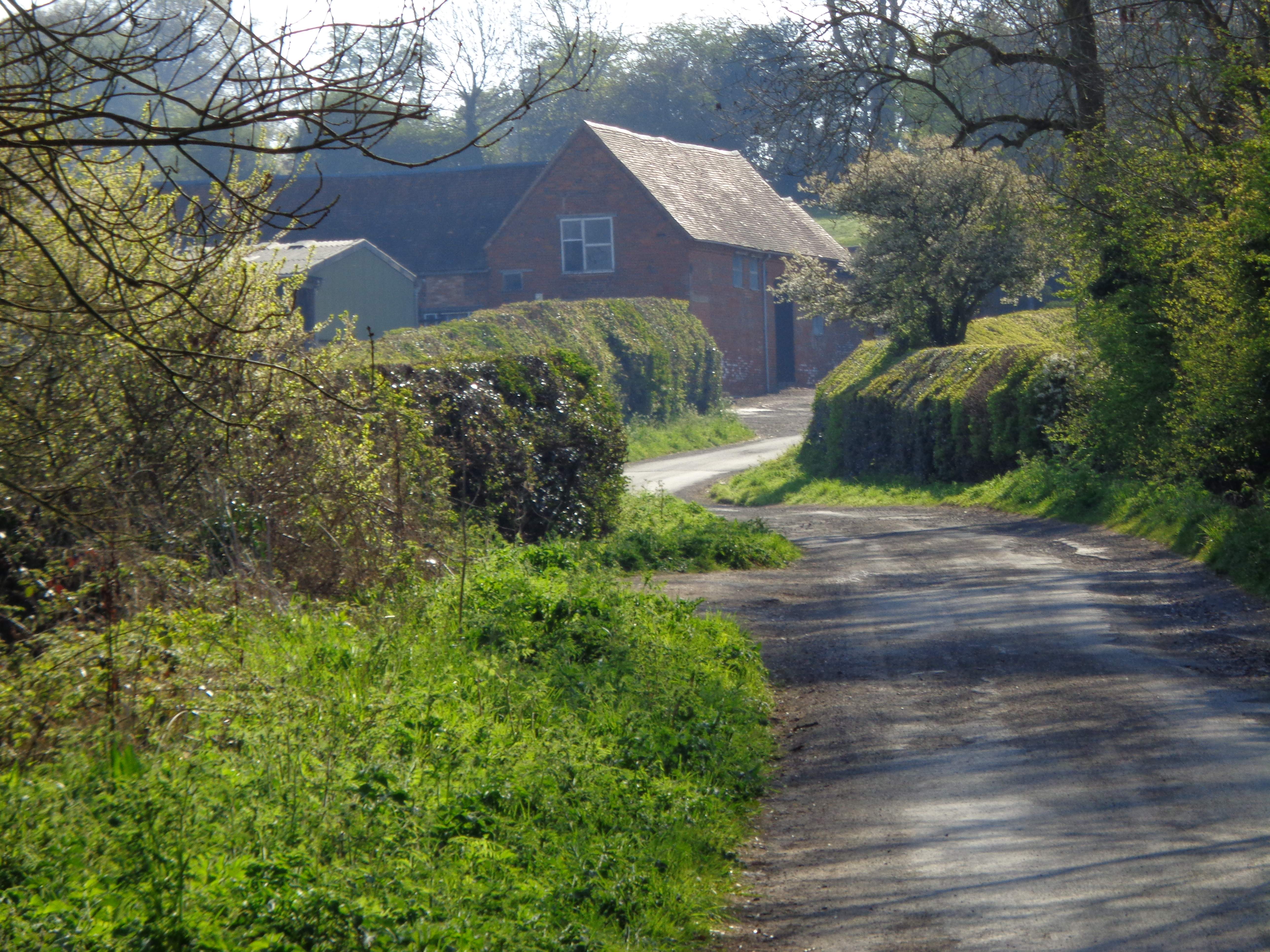 DSC02306.JPG