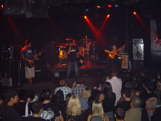 DSC02378.jpg