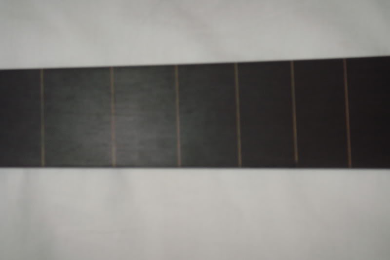 DSC02495.jpg