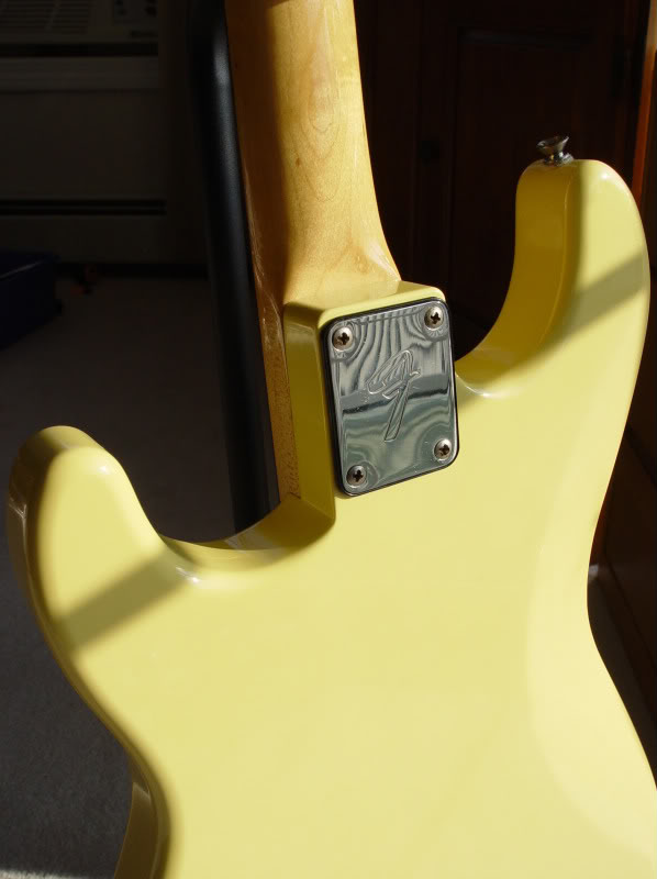 DSC02572-1.jpg