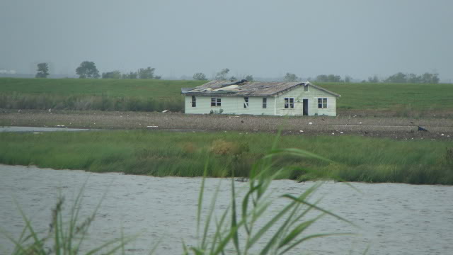 DSC02603.jpg
