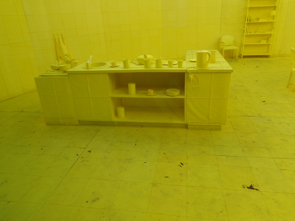 DSC02678.jpg