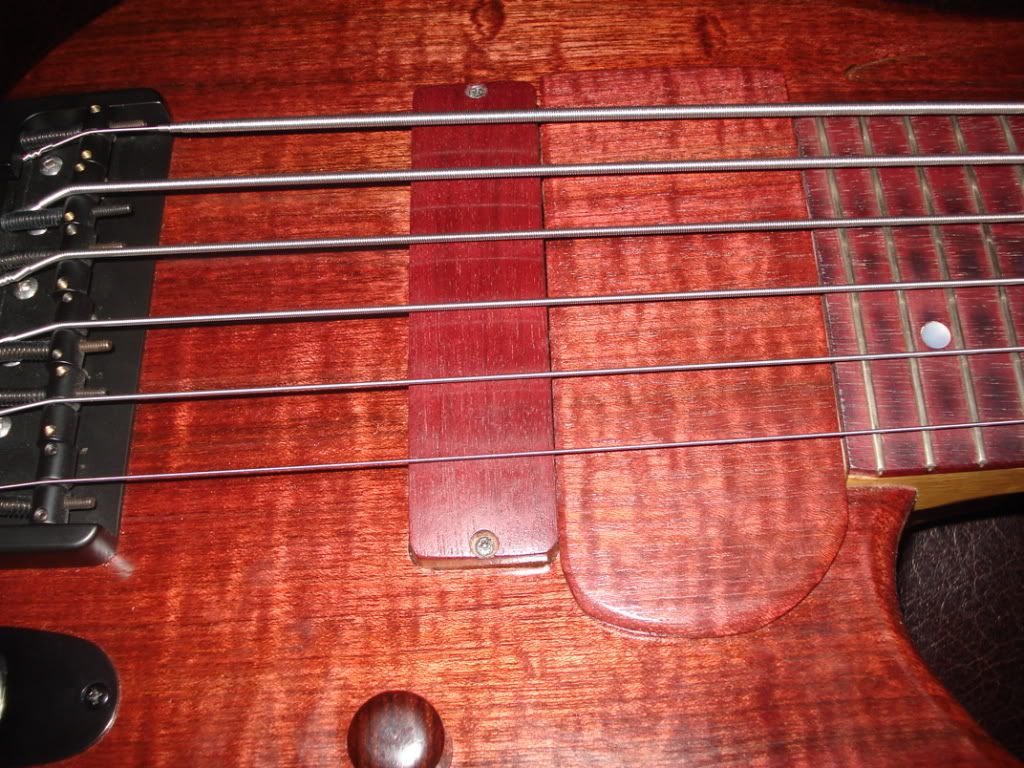 DSC03202.jpg