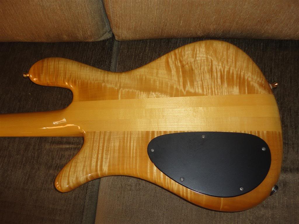 DSC03279Medium.jpg