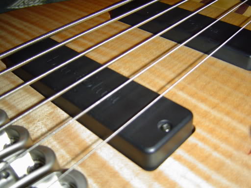 DSC03325.jpg
