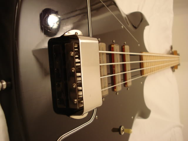 DSC03678.jpg