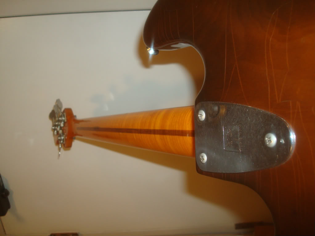 DSC03717-1.jpg