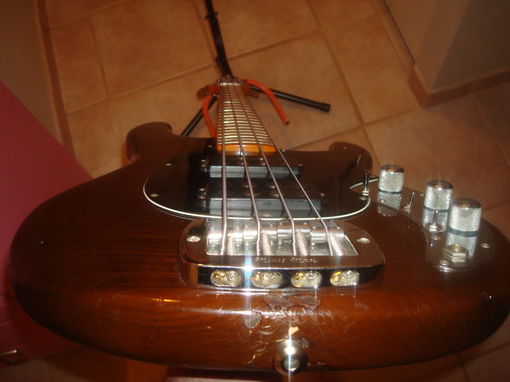 DSC03729.jpg