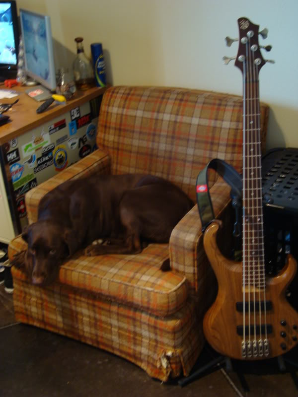 DSC03787.jpg