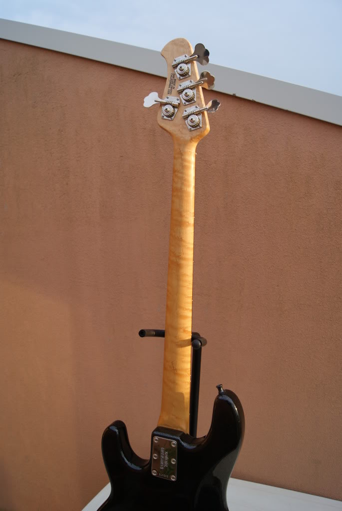 DSC04117.jpg