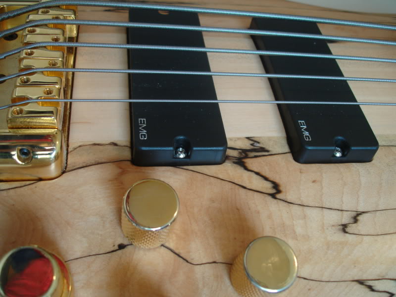 DSC05059.jpg