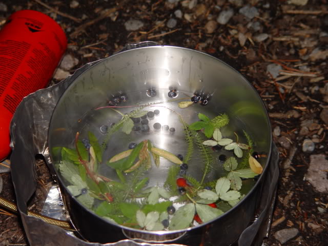 DSC06603.jpg