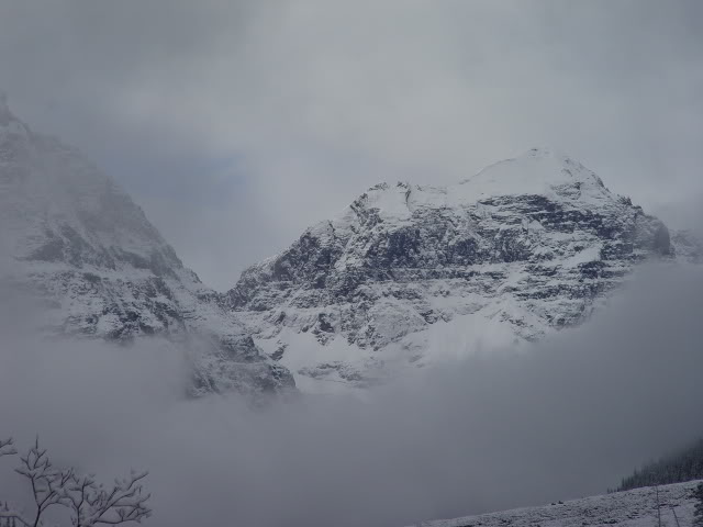 DSC06728.jpg