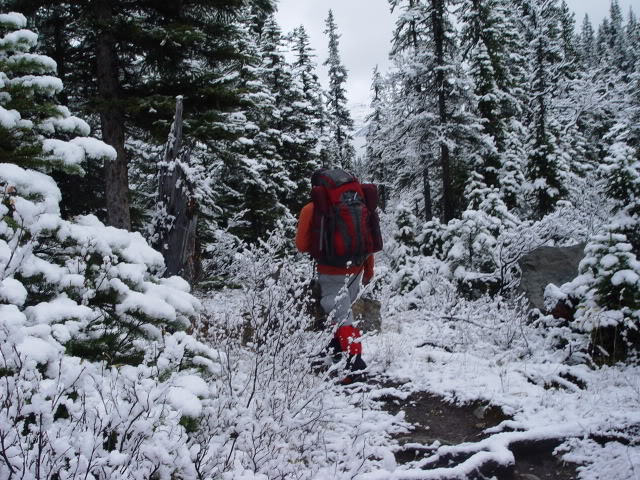 DSC06733.jpg