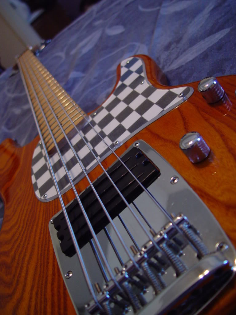 DSC06866.jpg