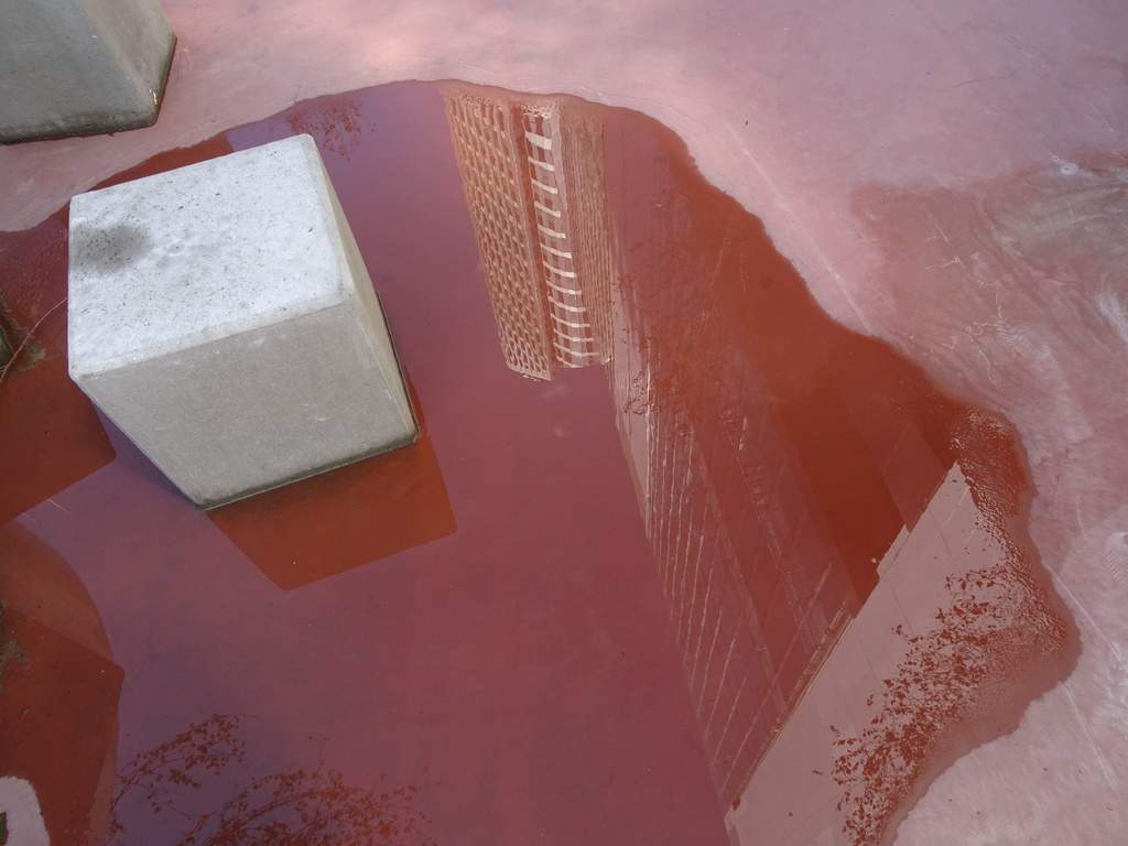 DSC07264.jpg