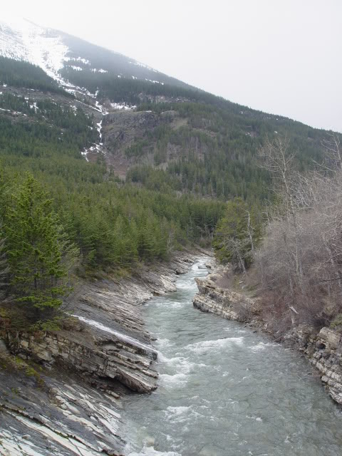 DSC07417.jpg