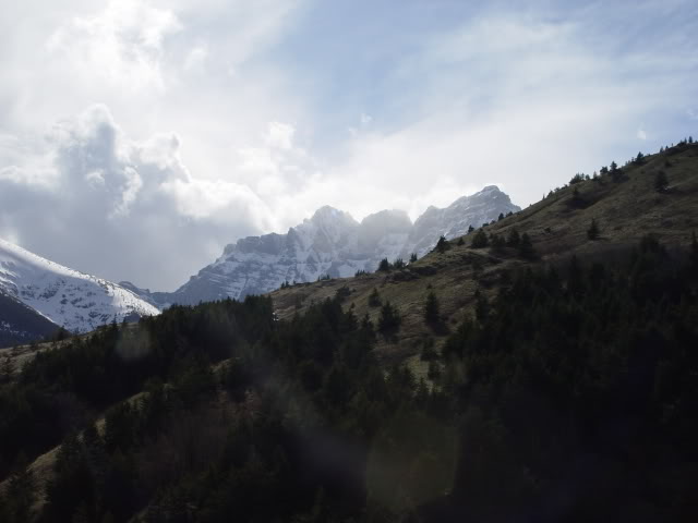 DSC07433.jpg