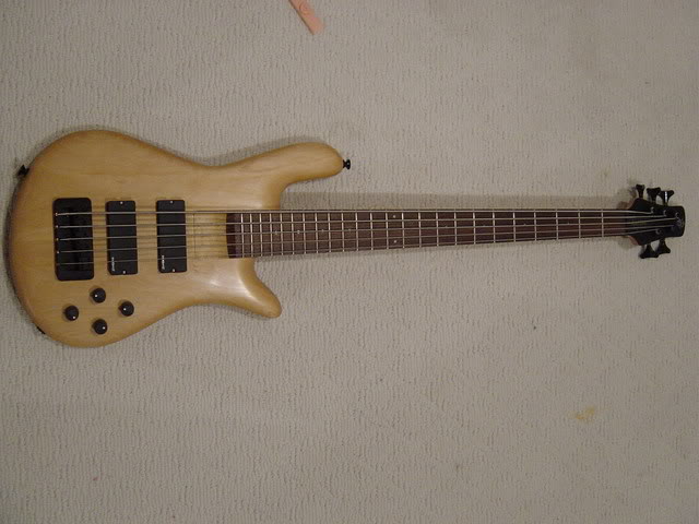 DSC07563.jpg