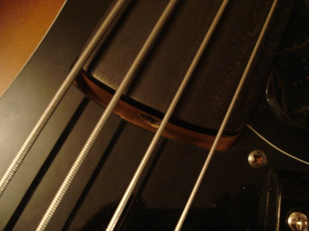 DSC07614.jpg
