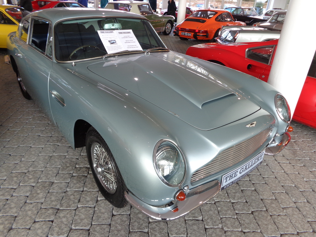 DSC07755.jpg