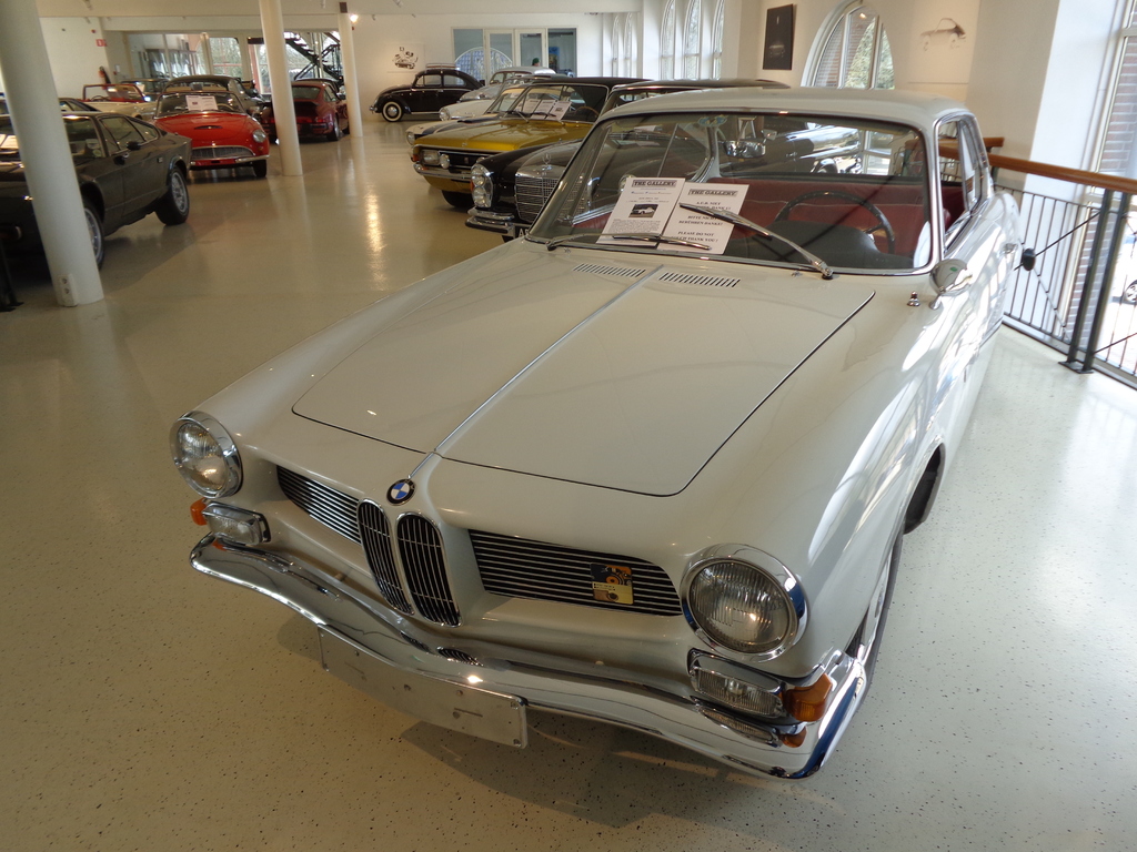 DSC07769.jpg