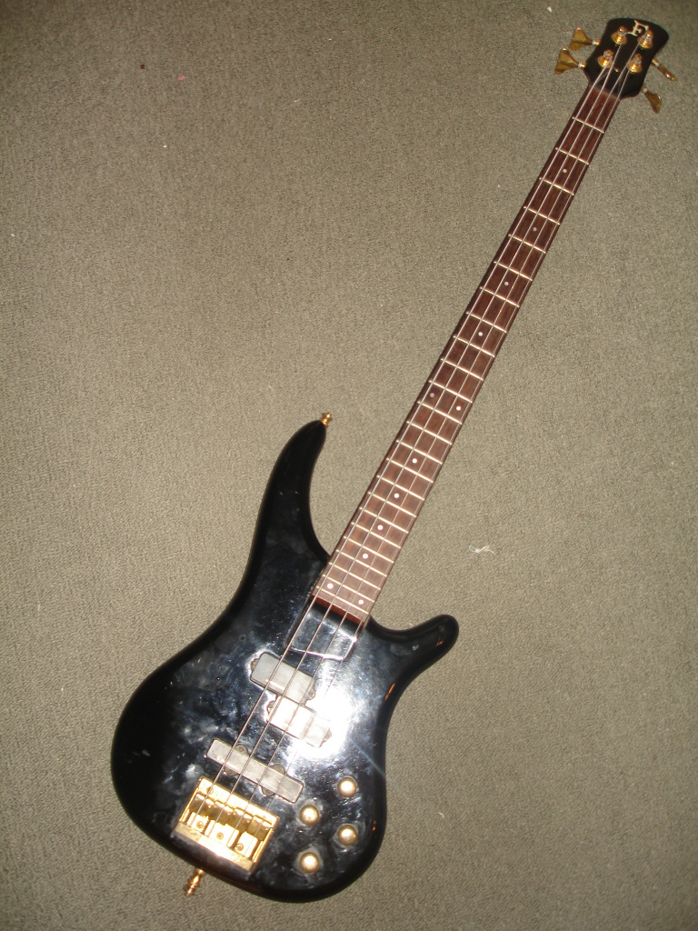 DSC07994.jpg