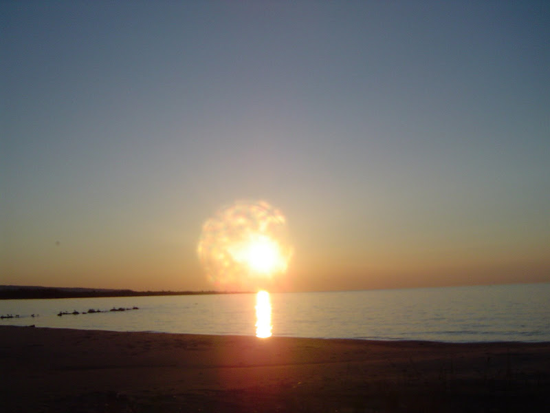 DSC08067.jpg