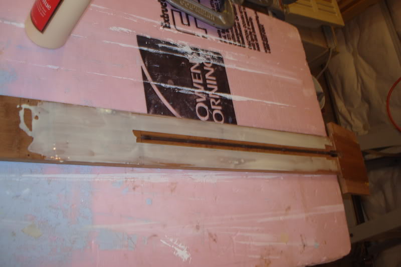DSC08661.jpg