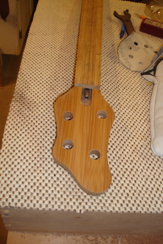 DSC08695.jpg
