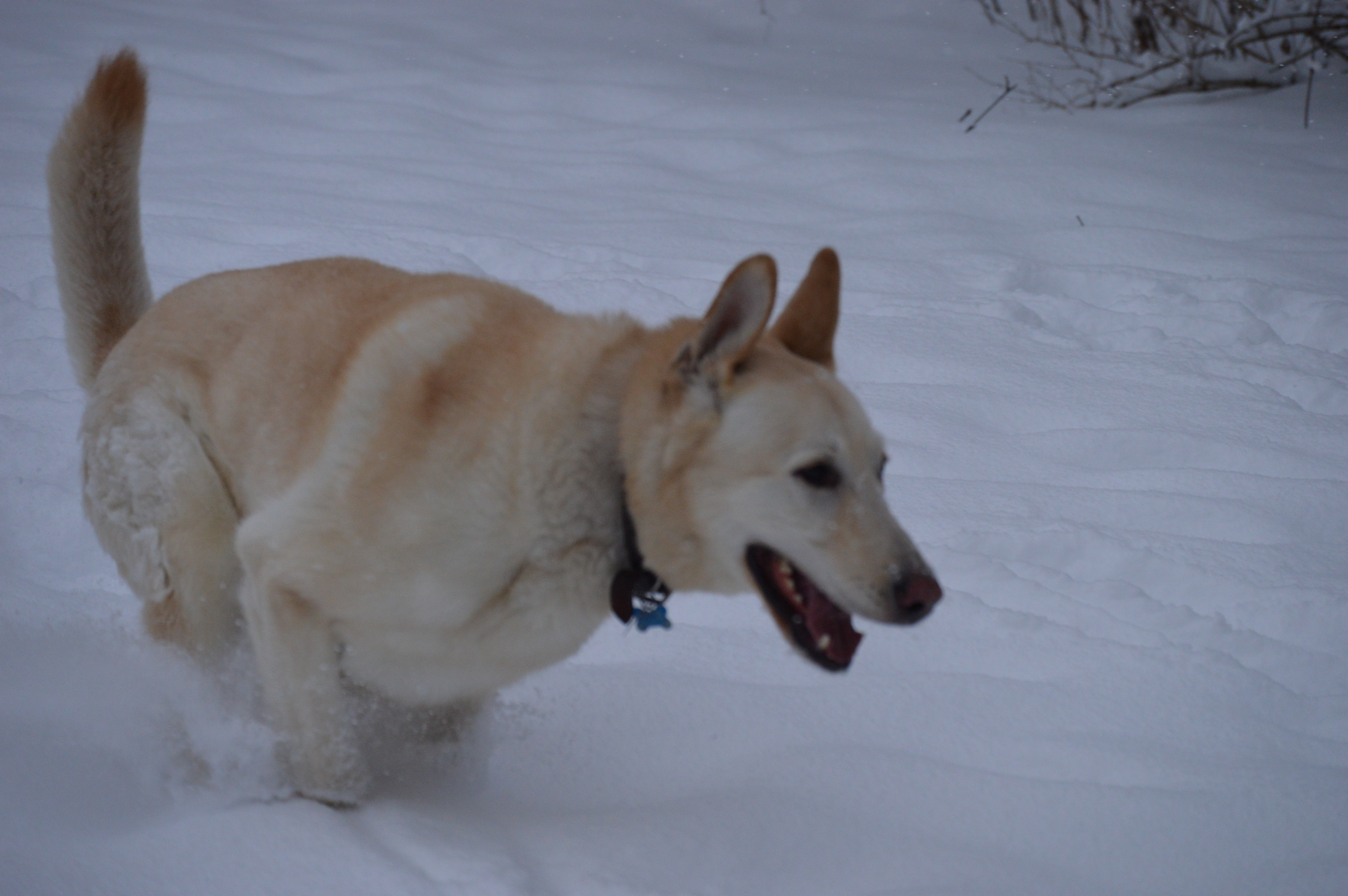 DSC_0070.JPG