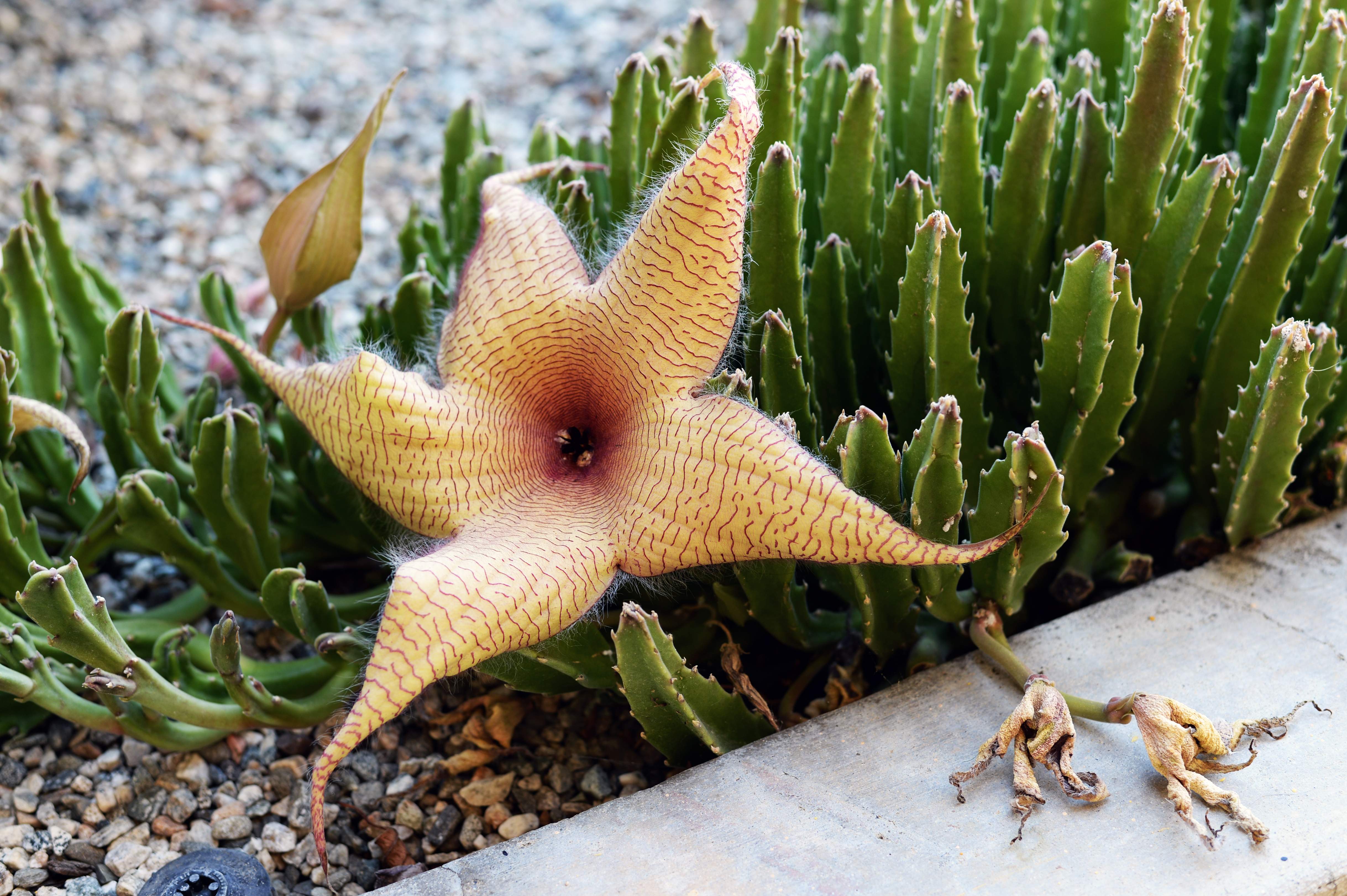 DSC_0238test.jpg