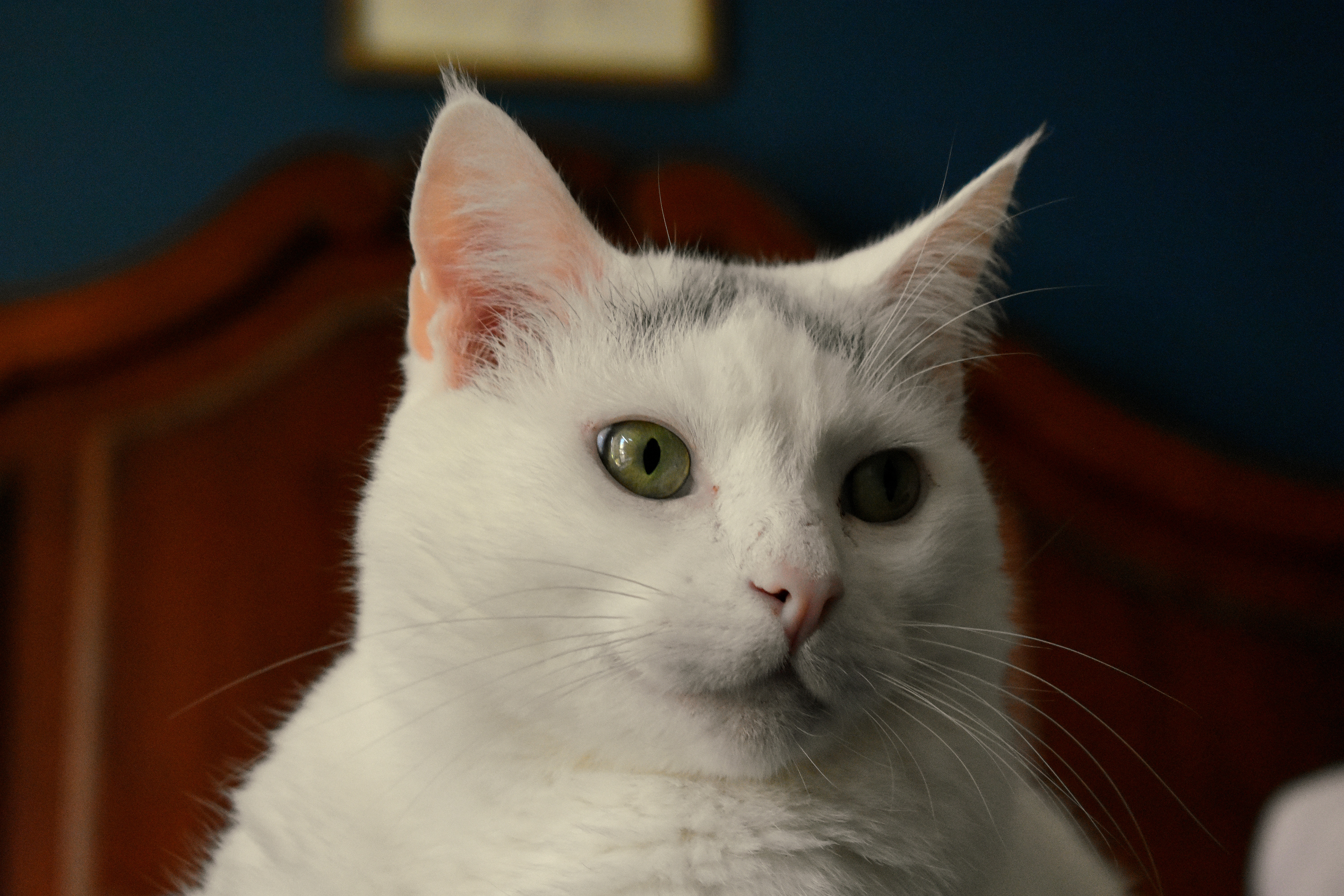 DSC_0275.JPG