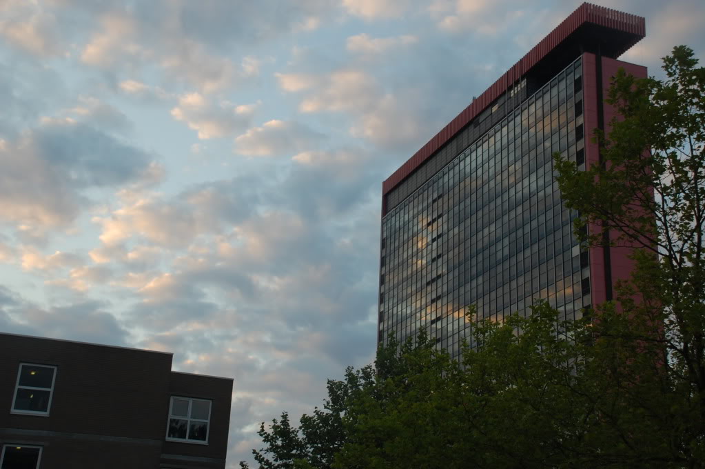 DSC_0330.jpg