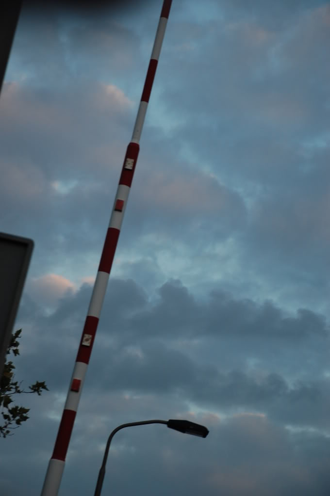 DSC_0333.jpg