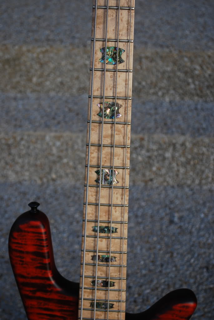 DSC_0403.jpg